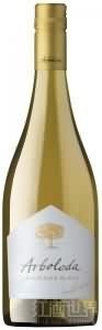 Sauvignon Blanc