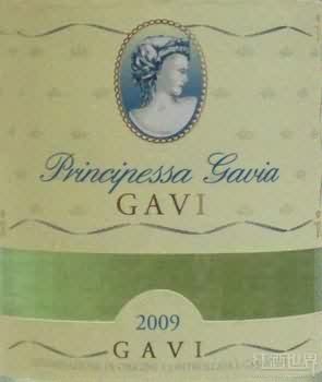 Gavia Gavi
