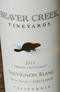 Sauvignon Blanc