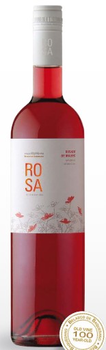 Baquedano Rosa de Argentina