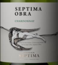 Chardonnay