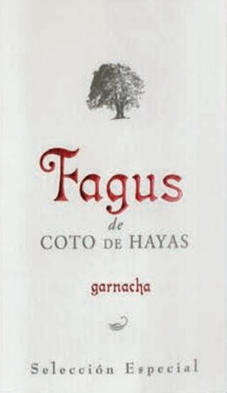 Fagus de Coto de Hayas