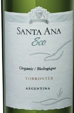 Ana Torrontes