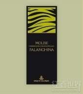 Colloredo Falanghina Molise