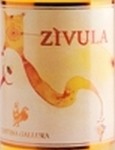 Zivula