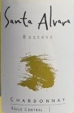 Chardonnay