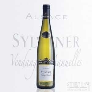 Sylvaner