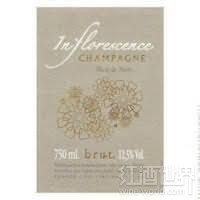 Roses de Jeanne Inflorescence Blanc de Noirs Val Vilaine